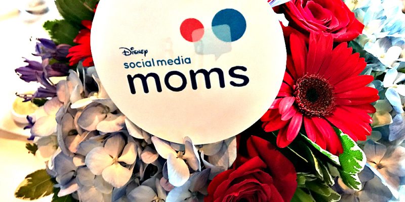 Disney Social Media Moms