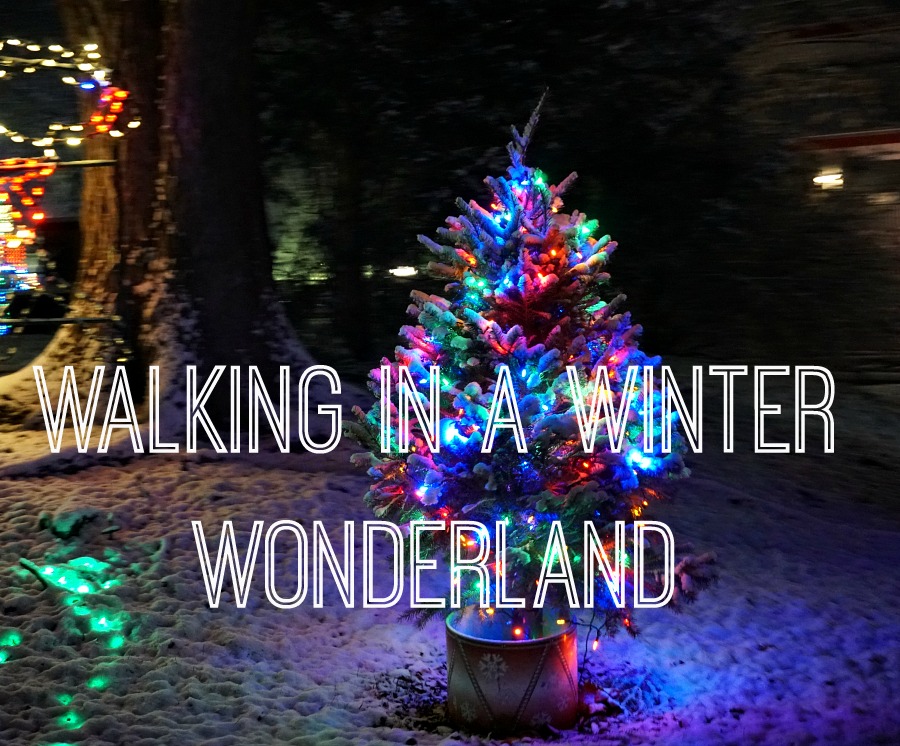 Winter Wonderland in PA