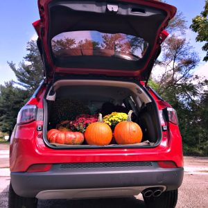 jeep's 2019 trunk