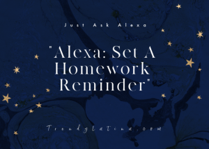 Set alerts with Alexa
