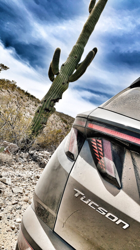 2022 Hyundai Tucson by saguaro cactus