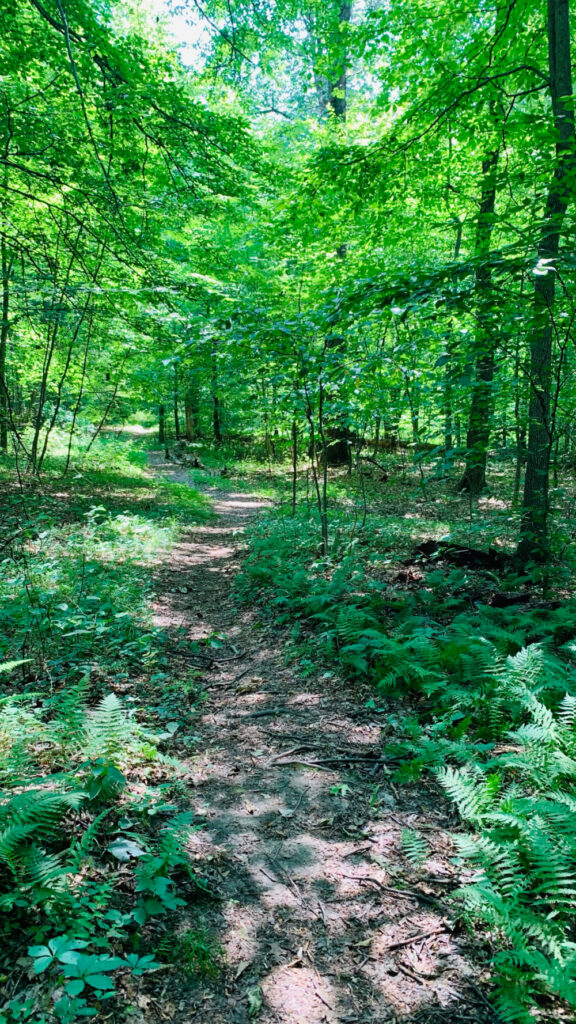 hiking trail at the campground