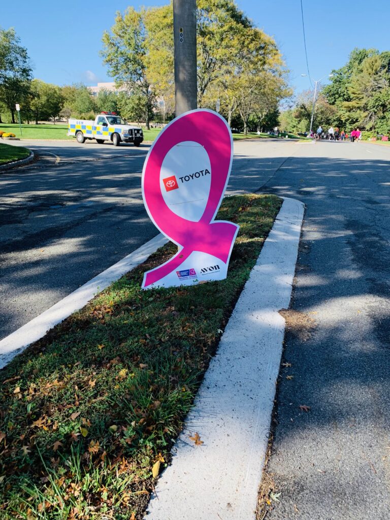 Making Strides Against Breast Cancer Walk with Toyota event 2