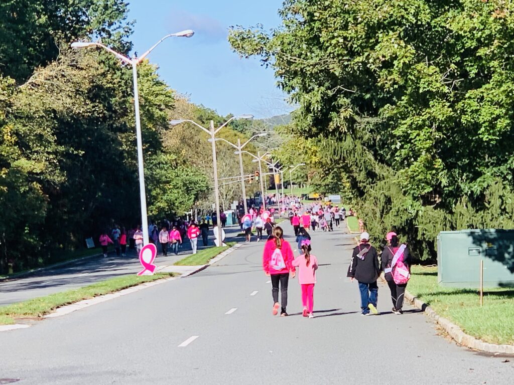 Making Strides Against Breast Cancer Walk with Toyota event