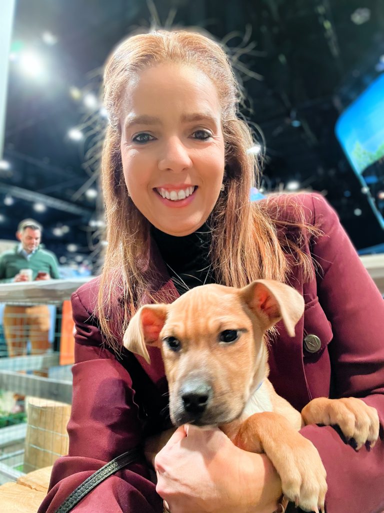 puppies at the Chicago Auto Show