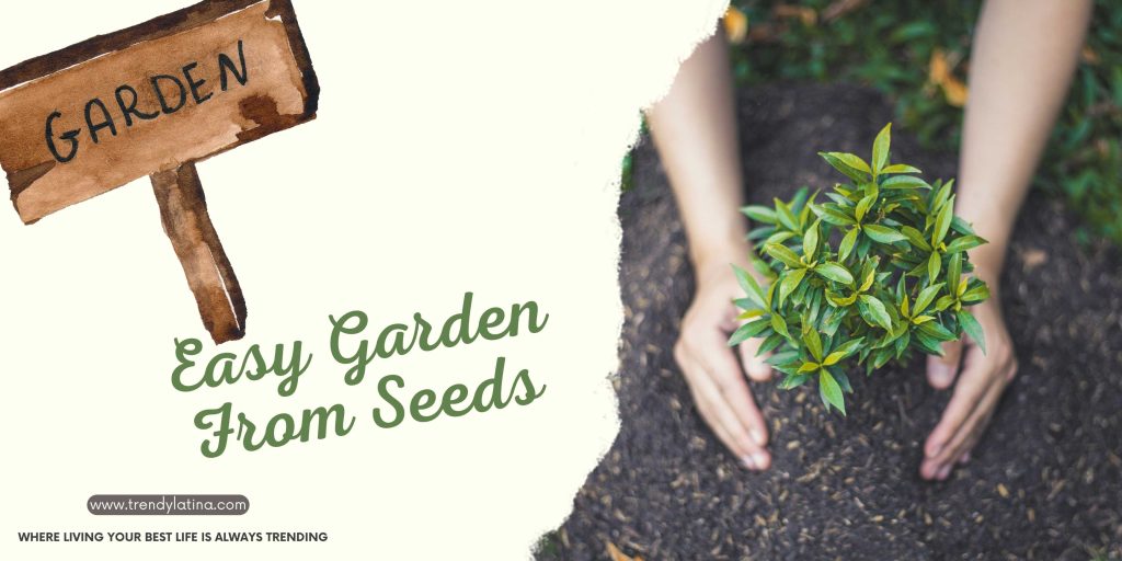 easy garden from seeds