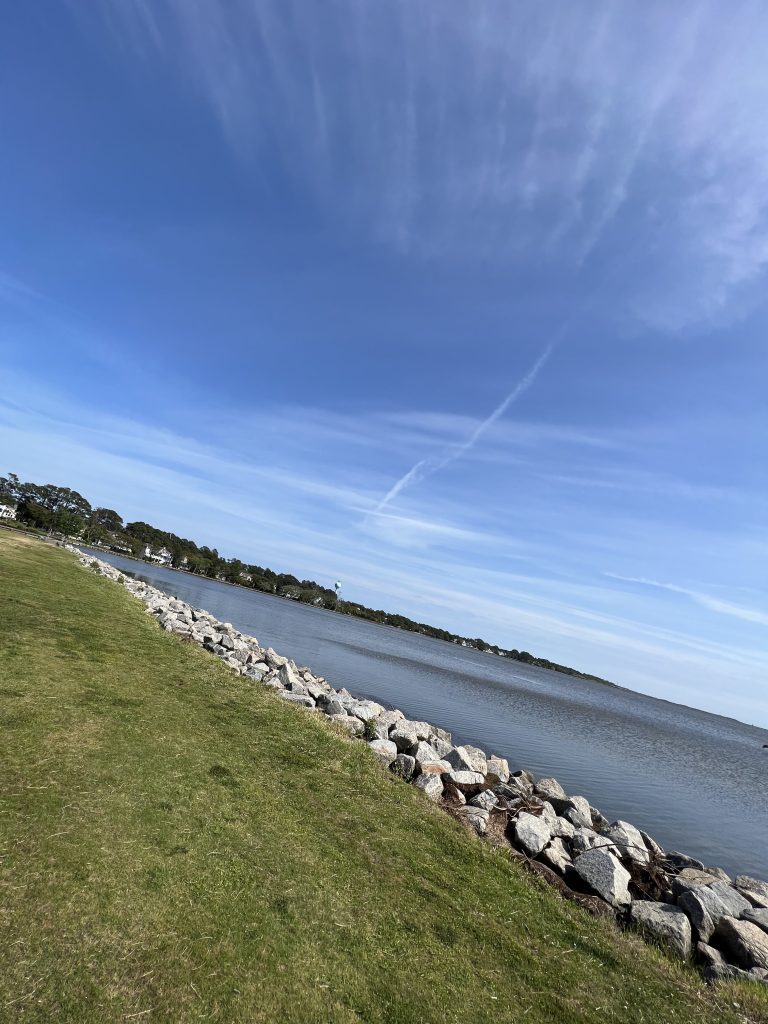 view from corolla park