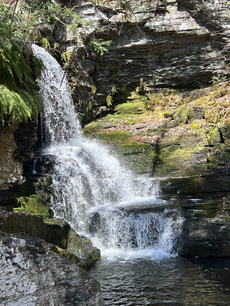 bushkill waterfalls