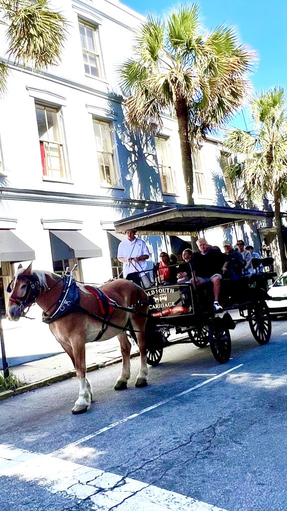 horse and carriage charleston tours