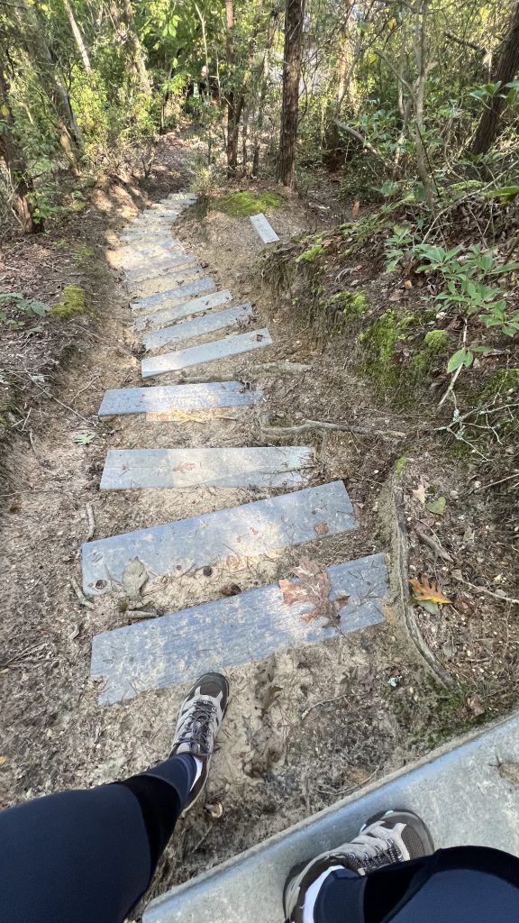 lots of trail steps
