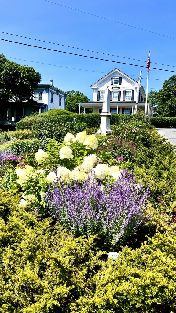 flowers at the cape