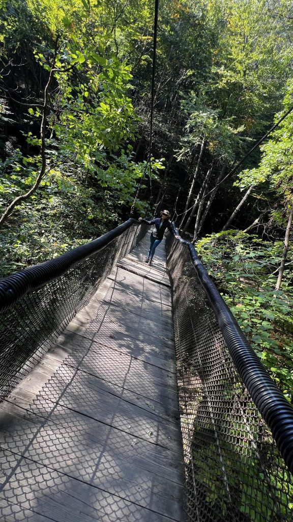 suspension bridge at Trough Creek Park