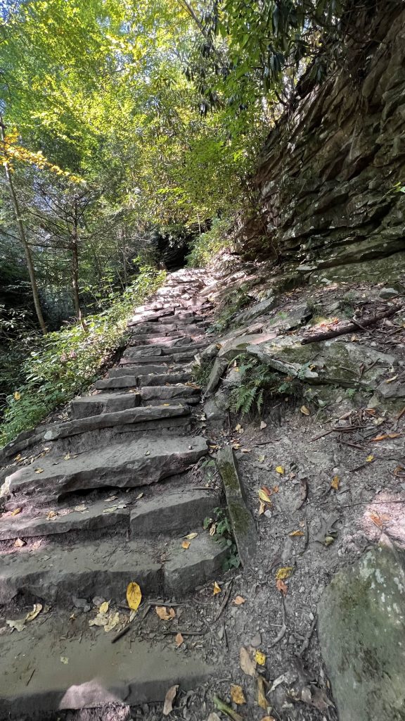 steps on the trail