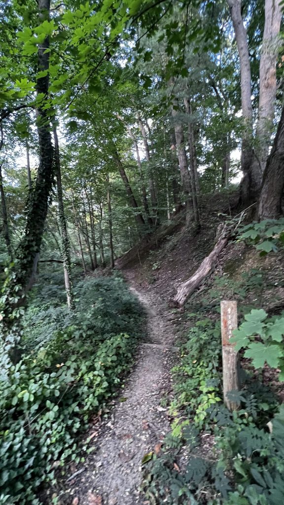 Creek trail hike