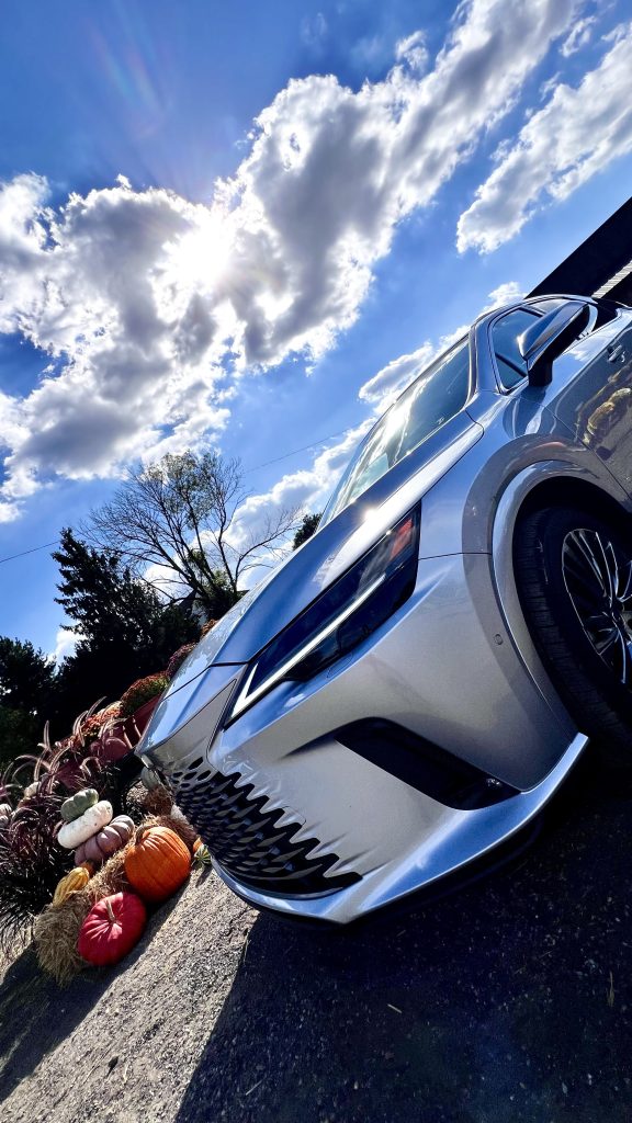 fall driving with the Lexus