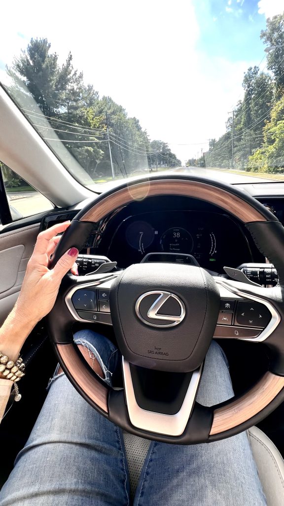 interior view of the Lexus RX 450 H