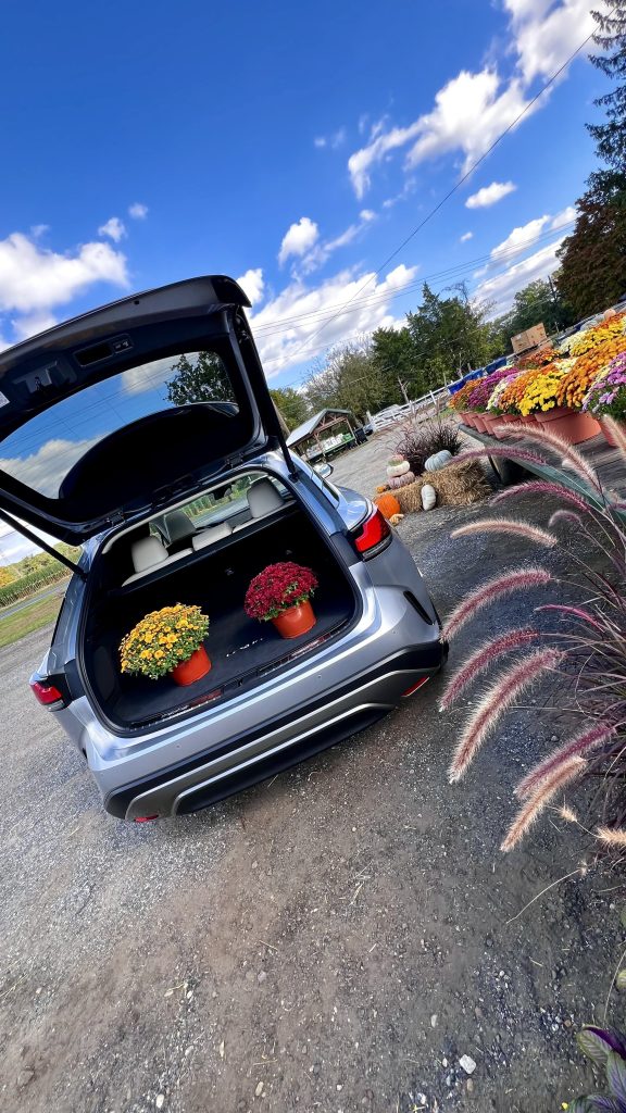 packing the Lexus with mums