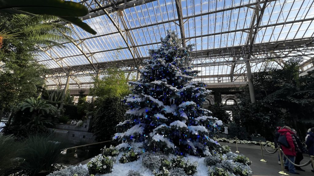 inside the conservatory