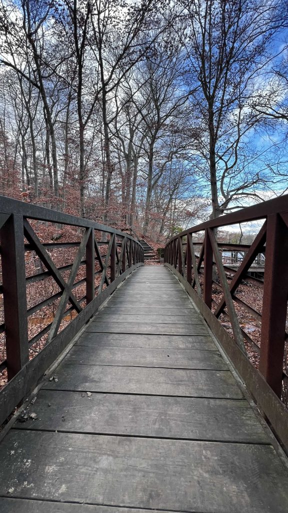 hiking bridge