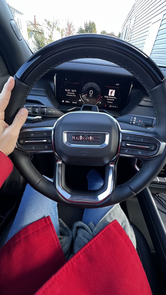 steering wheel view