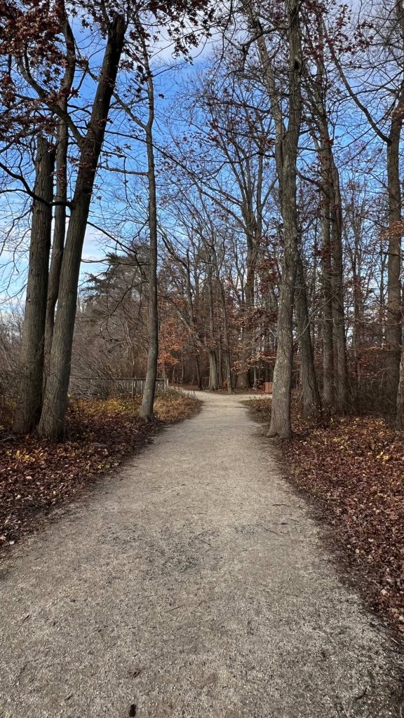 hiking trail