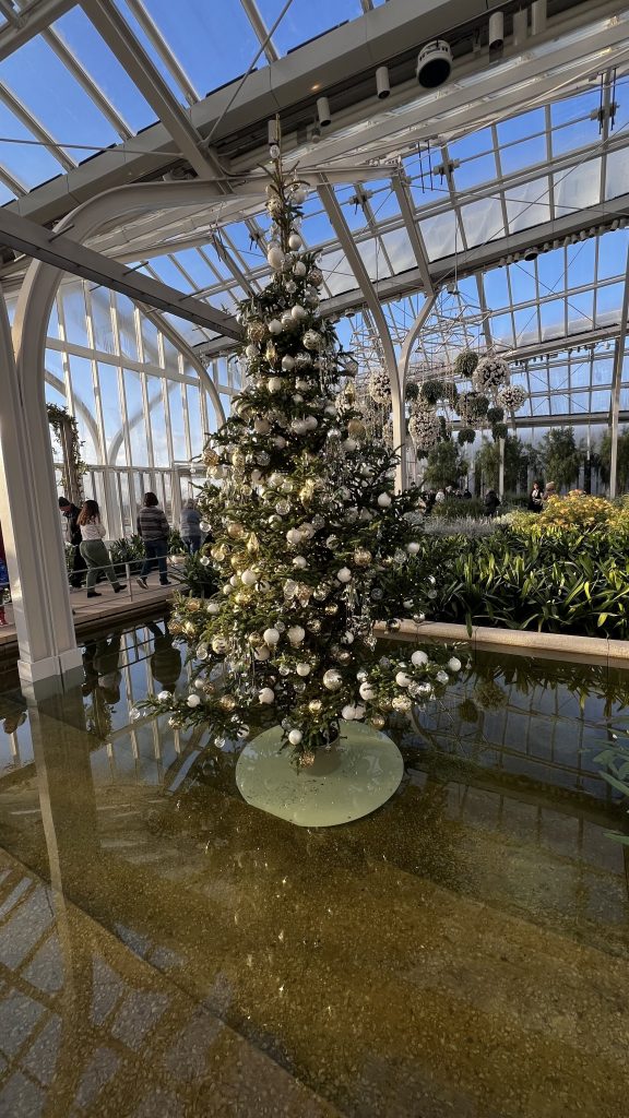 christmas tree in cascade garden