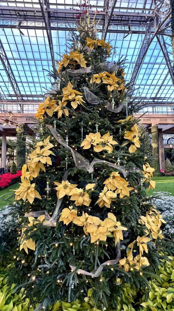 poinsettia christmas tree