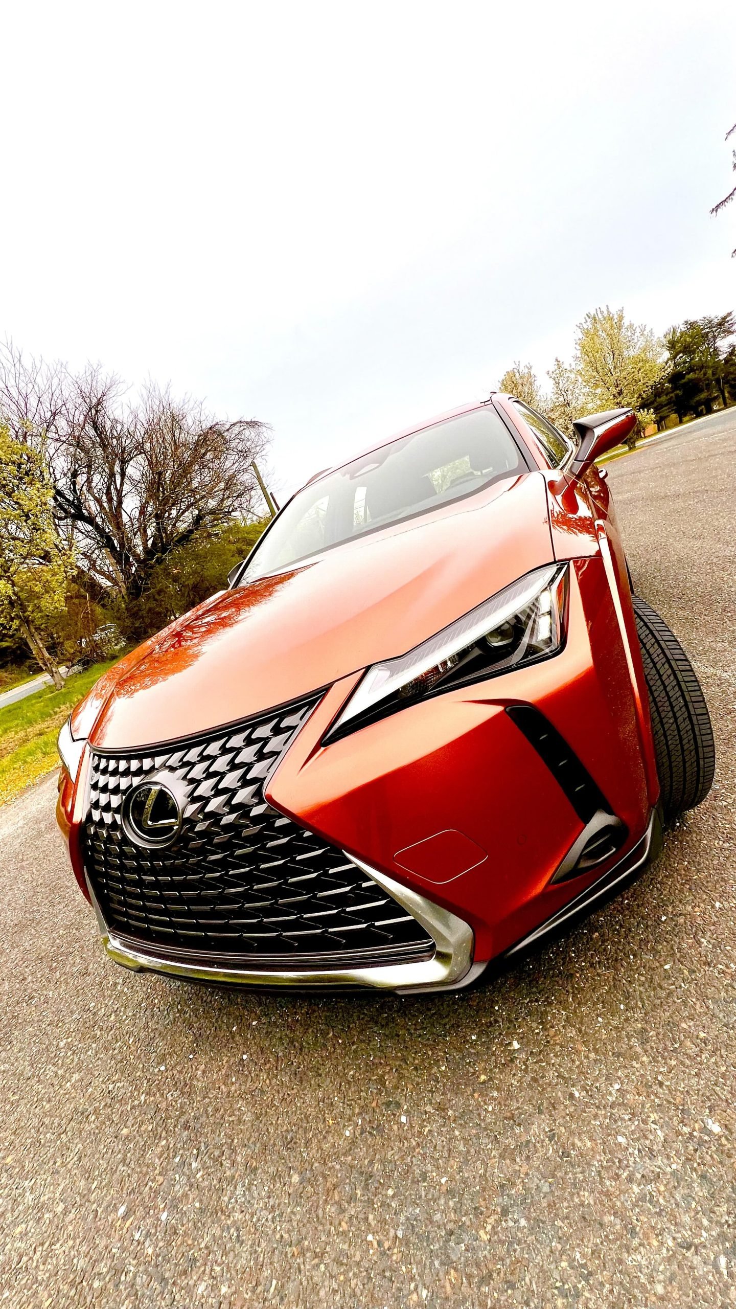 Lexus-UX300h-scaled.jpg