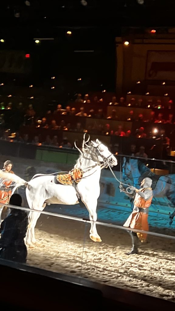 horses at Medieval Times