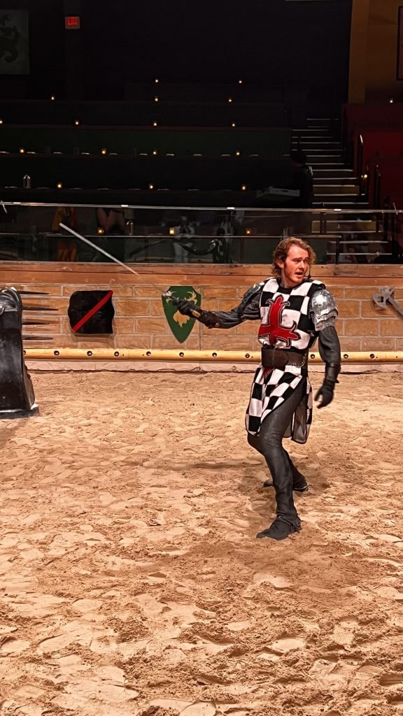 the black and white knight