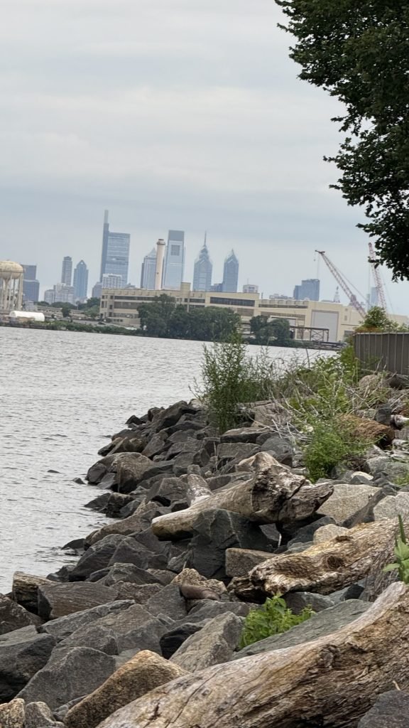 view of Philadelphia