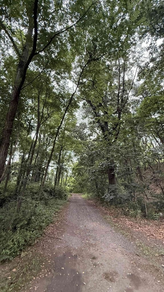 trail at Fort Mercer