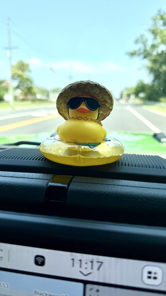 Pablo the rubber duck