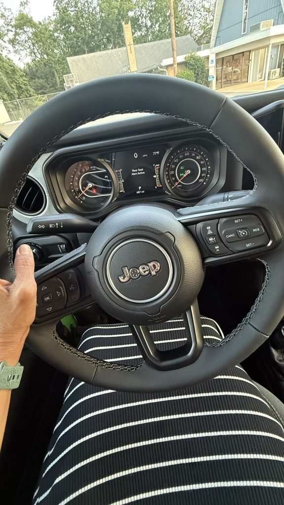 steering wheel view