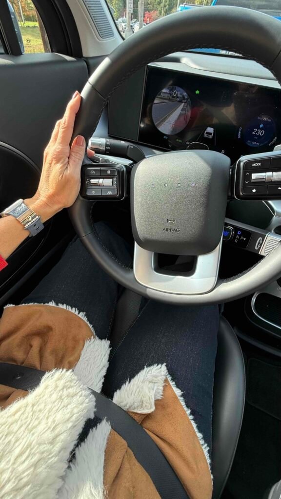 Ioniq 9  interior view