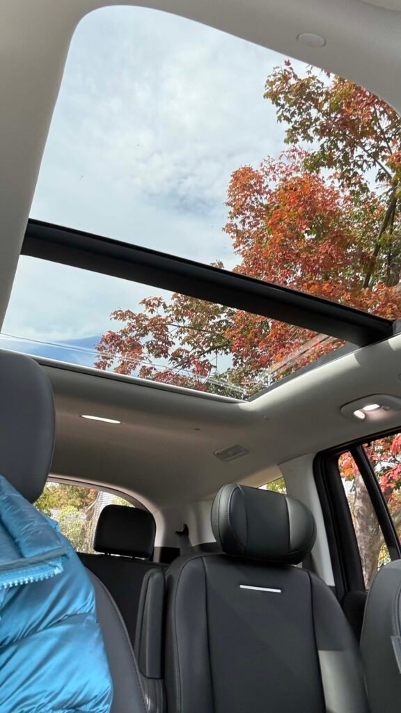 panoramic sunroof