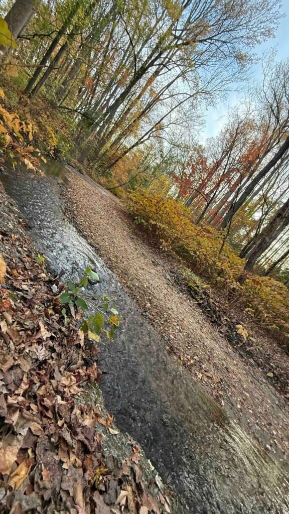 creek along the trail