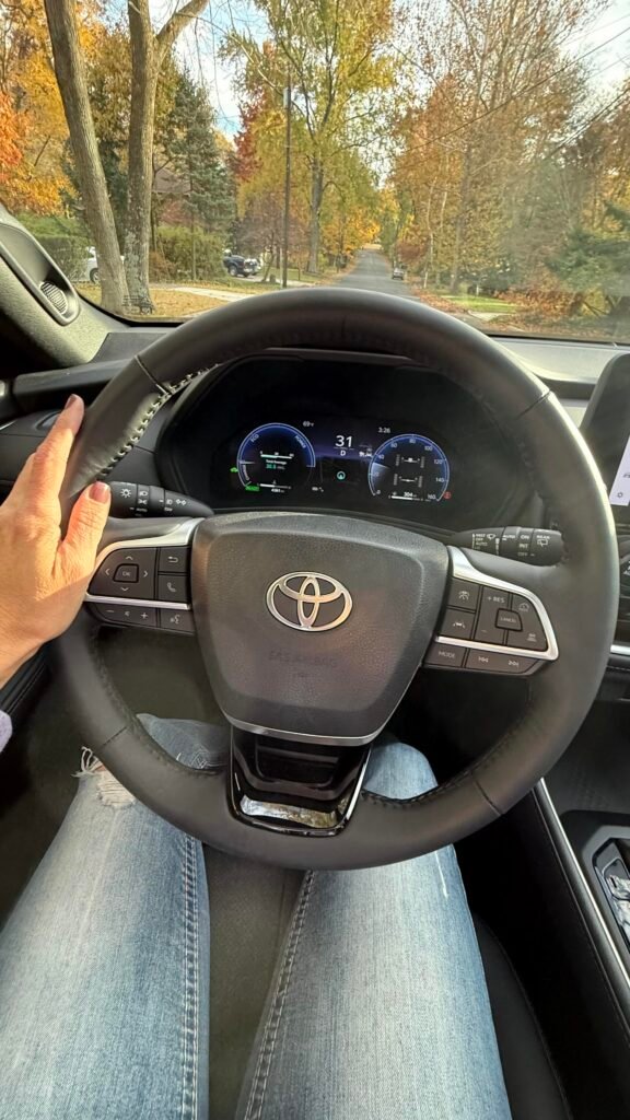 interior gauges view